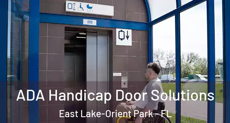  ADA Handicap Door Solutions East Lake-Orient Park - FL