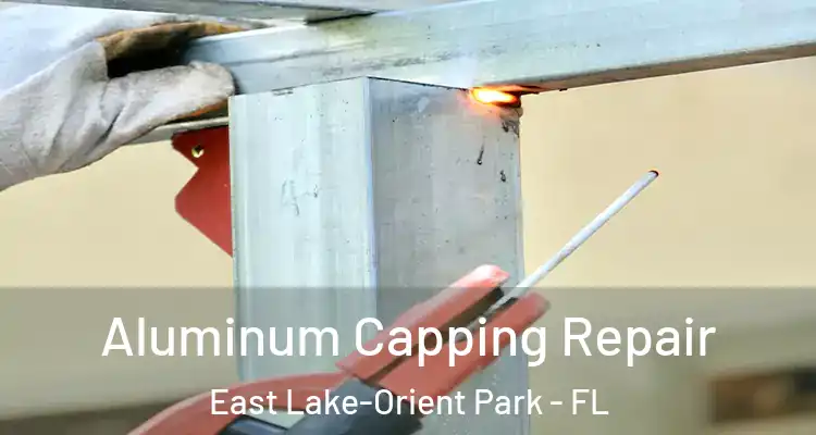  Aluminum Capping Repair East Lake-Orient Park - FL