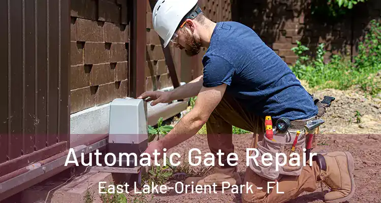  Automatic Gate Repair East Lake-Orient Park - FL