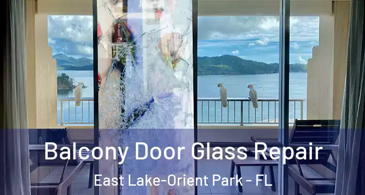  Balcony Door Glass Repair East Lake-Orient Park - FL