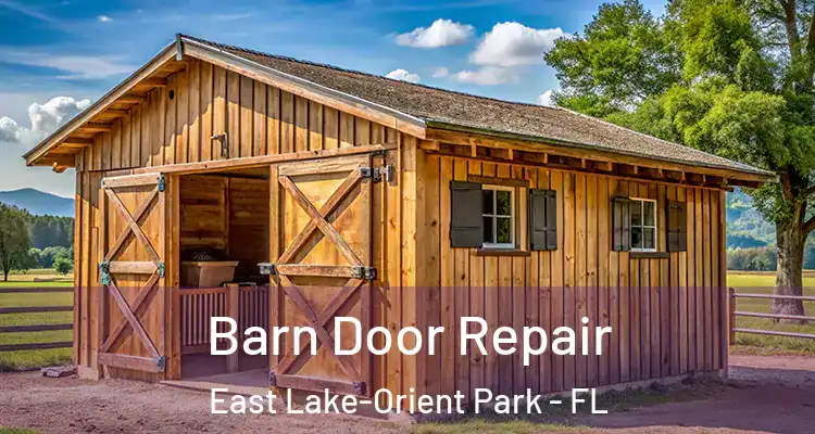  Barn Door Repair East Lake-Orient Park - FL