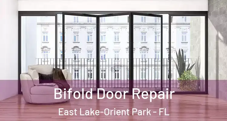  Bifold Door Repair East Lake-Orient Park - FL