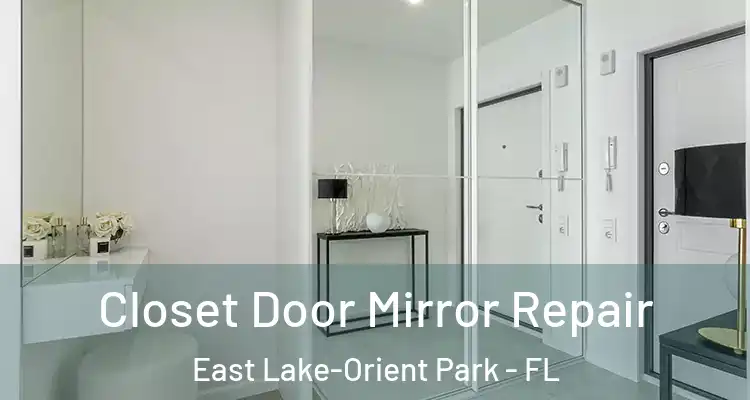  Closet Door Mirror Repair East Lake-Orient Park - FL