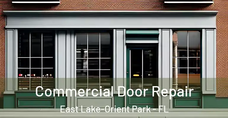  Commercial Door Repair East Lake-Orient Park - FL