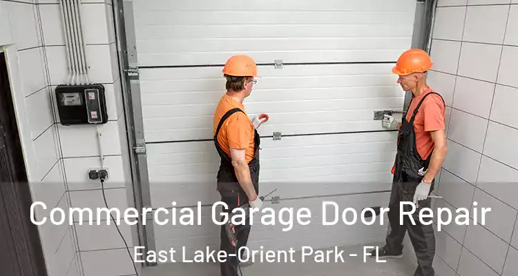  Commercial Garage Door Repair East Lake-Orient Park - FL