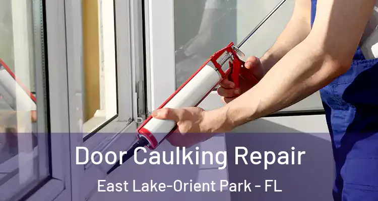  Door Caulking Repair East Lake-Orient Park - FL