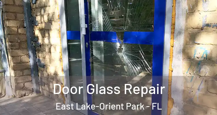  Door Glass Repair East Lake-Orient Park - FL