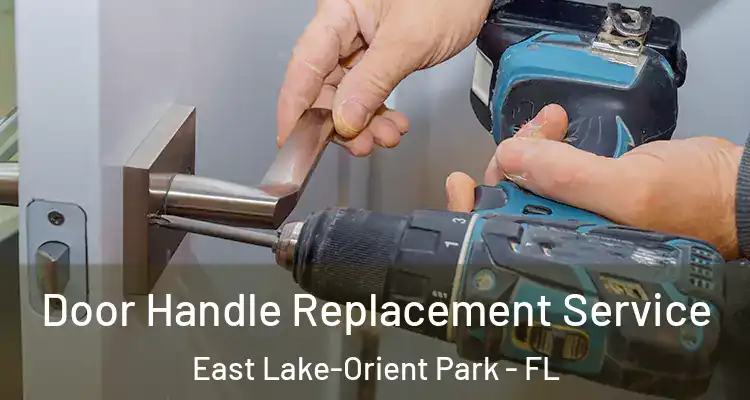  Door Handle Replacement Service East Lake-Orient Park - FL