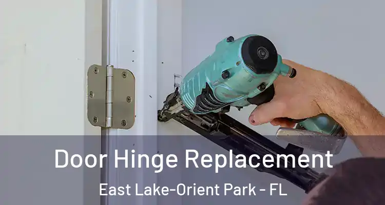  Door Hinge Replacement East Lake-Orient Park - FL