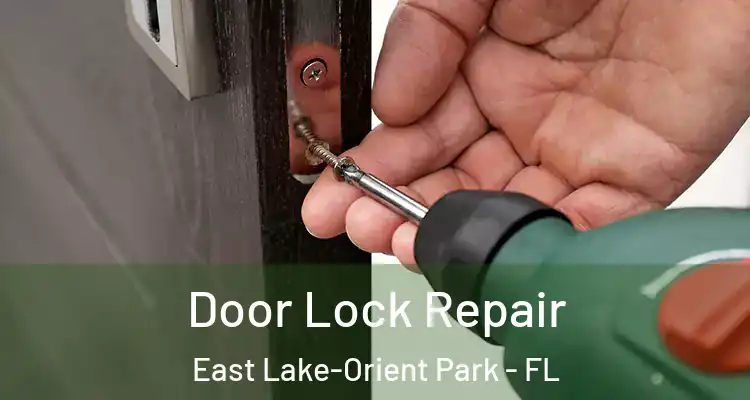  Door Lock Repair East Lake-Orient Park - FL
