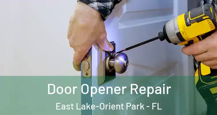  Door Opener Repair East Lake-Orient Park - FL