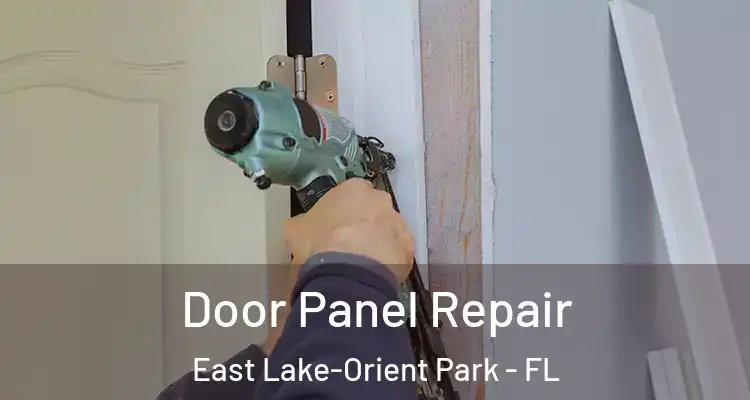  Door Panel Repair East Lake-Orient Park - FL