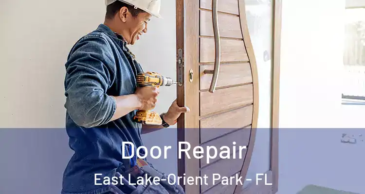  Door Repair East Lake-Orient Park - FL