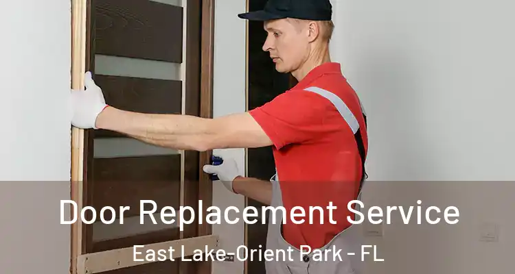  Door Replacement Service East Lake-Orient Park - FL