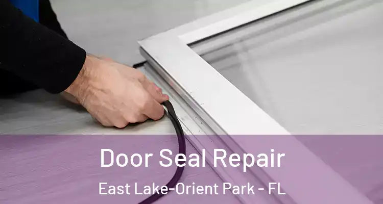  Door Seal Repair East Lake-Orient Park - FL