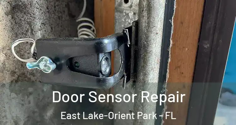  Door Sensor Repair East Lake-Orient Park - FL