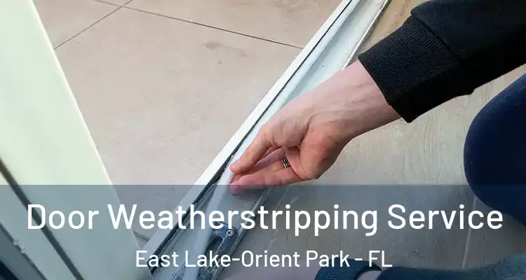  Door Weatherstripping Service East Lake-Orient Park - FL