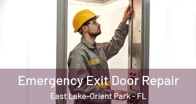  Emergency Exit Door Repair East Lake-Orient Park - FL