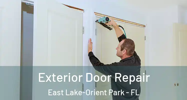  Exterior Door Repair East Lake-Orient Park - FL