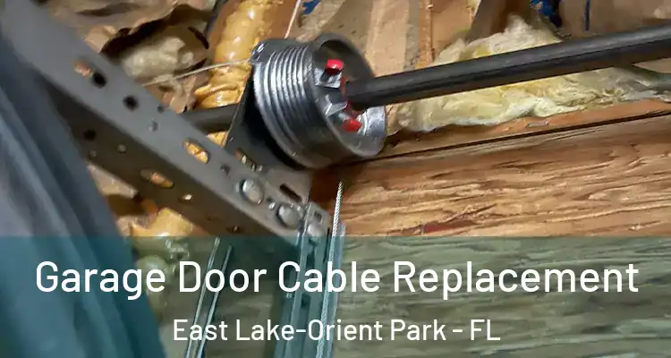  Garage Door Cable Replacement East Lake-Orient Park - FL