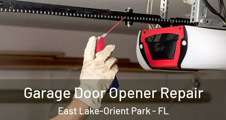  Garage Door Opener Repair East Lake-Orient Park - FL
