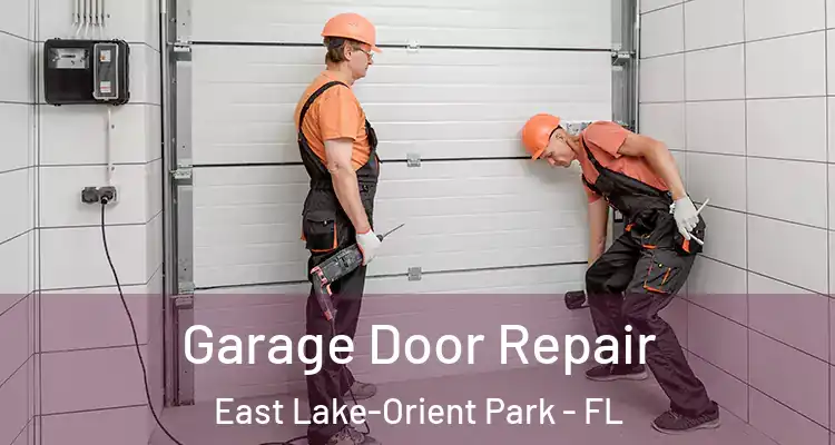  Garage Door Repair East Lake-Orient Park - FL