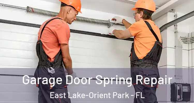  Garage Door Spring Repair East Lake-Orient Park - FL