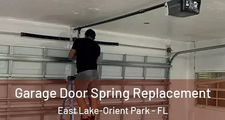  Garage Door Spring Replacement East Lake-Orient Park - FL