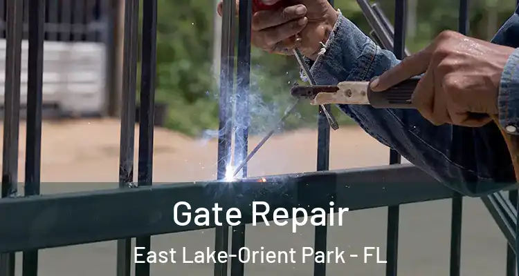  Gate Repair East Lake-Orient Park - FL