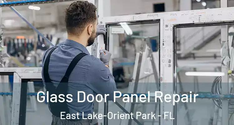  Glass Door Panel Repair East Lake-Orient Park - FL