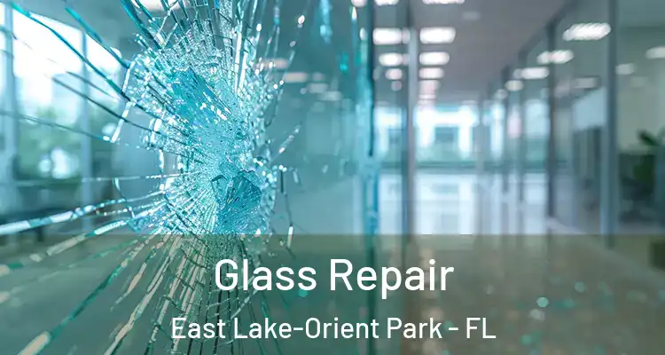  Glass Repair East Lake-Orient Park - FL