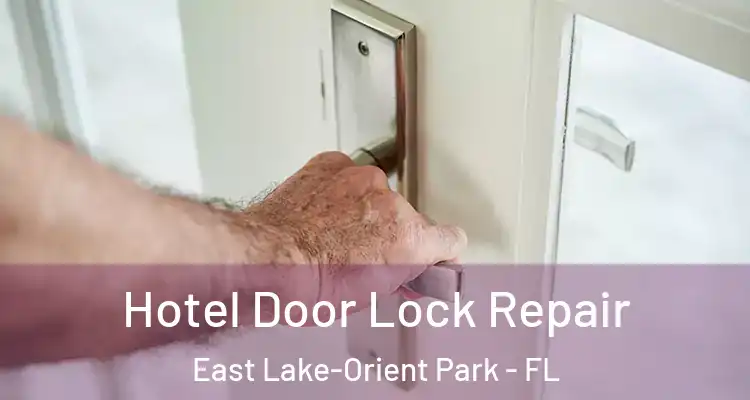  Hotel Door Lock Repair East Lake-Orient Park - FL