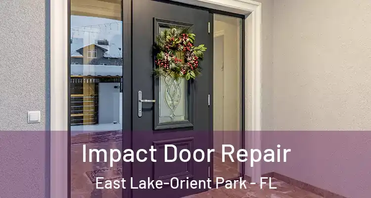  Impact Door Repair East Lake-Orient Park - FL