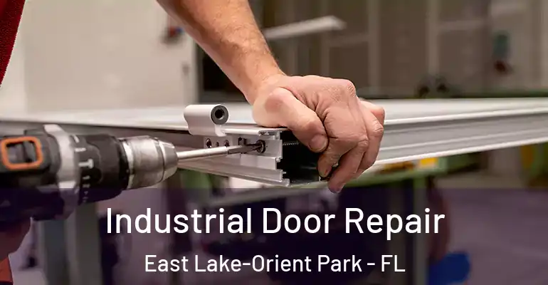  Industrial Door Repair East Lake-Orient Park - FL