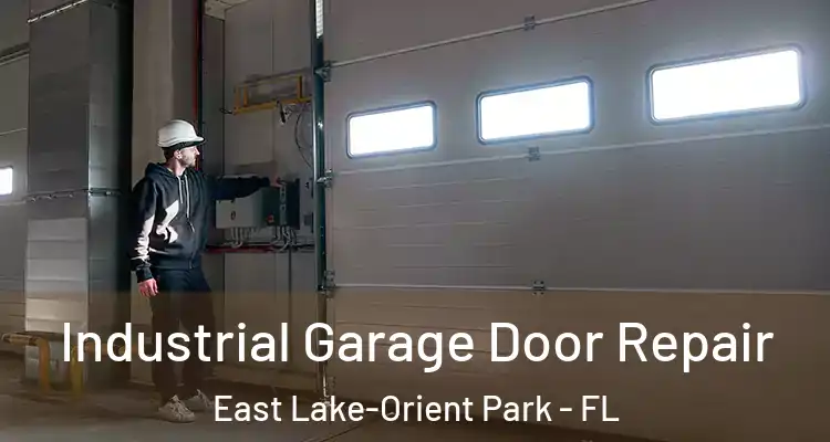  Industrial Garage Door Repair East Lake-Orient Park - FL