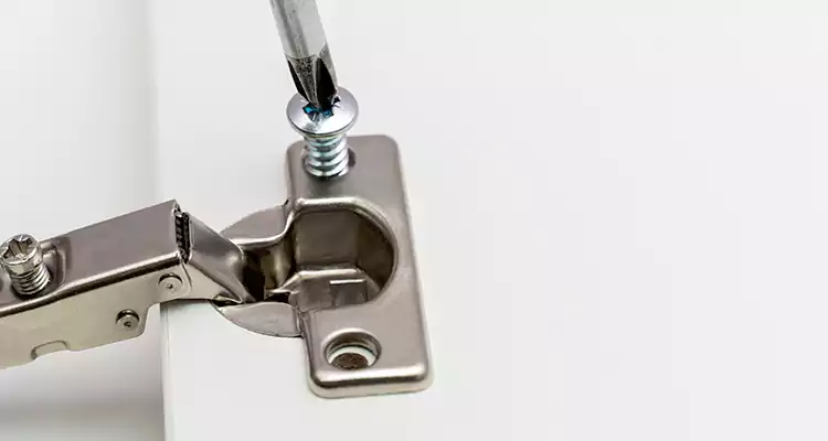 Screen Door Hinge Repair in East Lake-Orient Park, FL