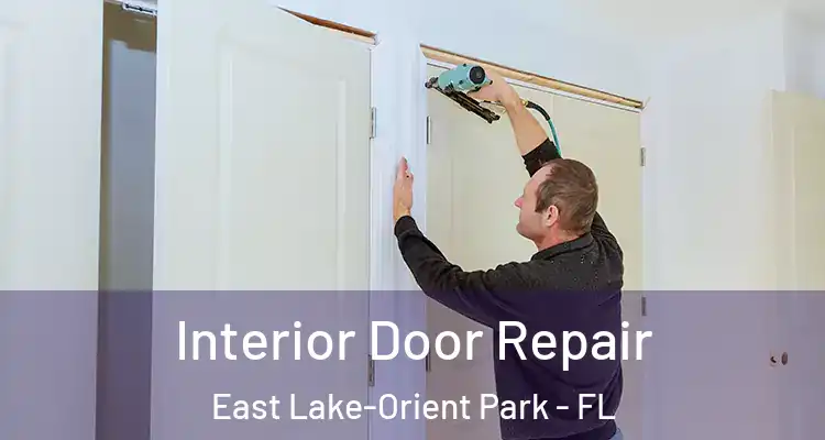  Interior Door Repair East Lake-Orient Park - FL