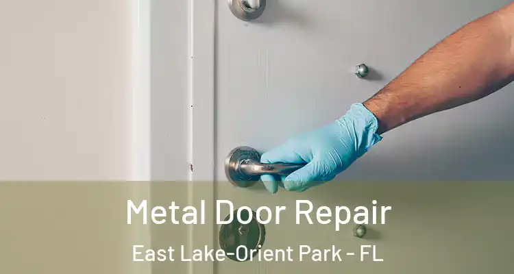  Metal Door Repair East Lake-Orient Park - FL