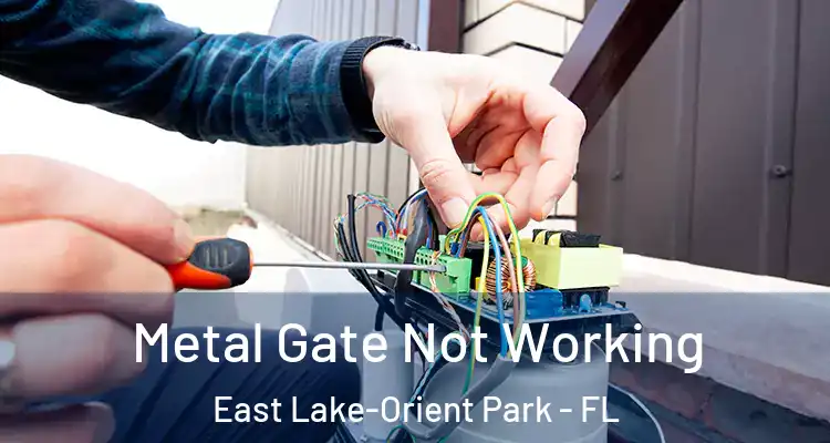  Metal Gate Not Working East Lake-Orient Park - FL