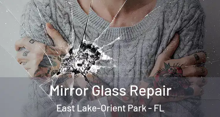  Mirror Glass Repair East Lake-Orient Park - FL