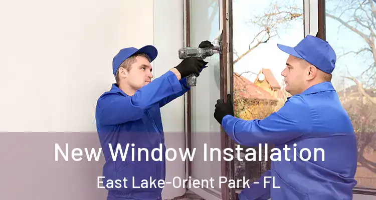  New Window Installation East Lake-Orient Park - FL