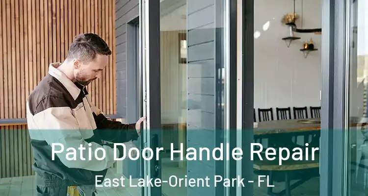  Patio Door Handle Repair East Lake-Orient Park - FL