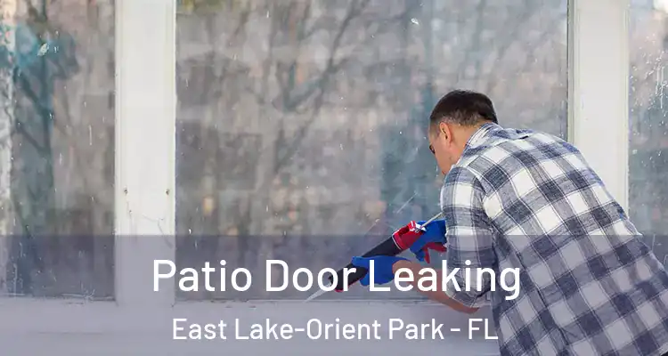  Patio Door Leaking East Lake-Orient Park - FL