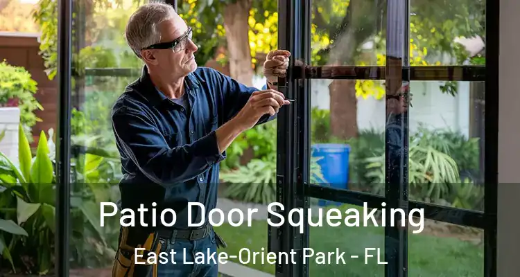  Patio Door Squeaking East Lake-Orient Park - FL