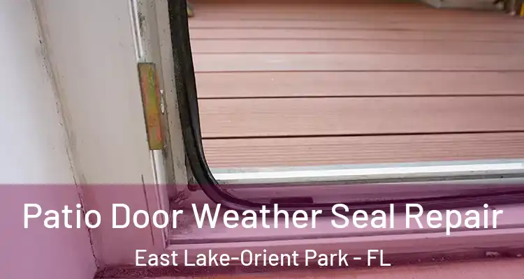  Patio Door Weather Seal Repair East Lake-Orient Park - FL