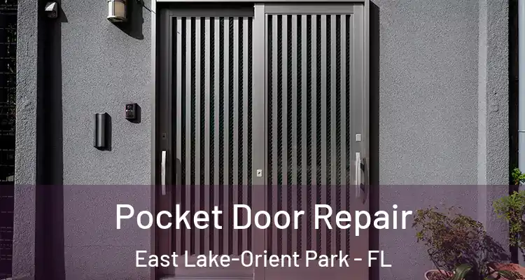  Pocket Door Repair East Lake-Orient Park - FL