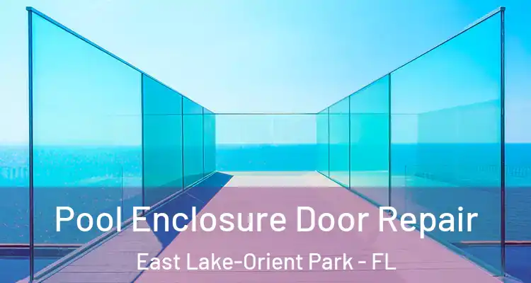  Pool Enclosure Door Repair East Lake-Orient Park - FL