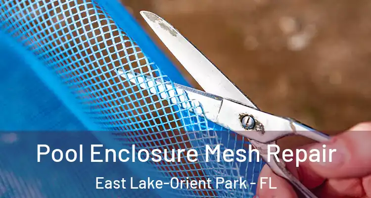  Pool Enclosure Mesh Repair East Lake-Orient Park - FL