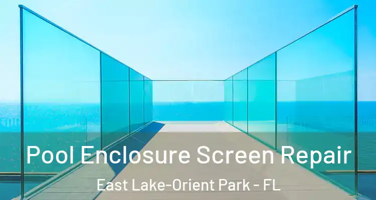  Pool Enclosure Screen Repair East Lake-Orient Park - FL
