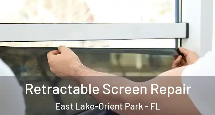 Retractable Screen Repair East Lake-Orient Park - FL